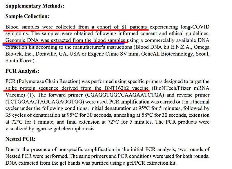 Studie zeigt, dass COVID-Impfstoffe in die menschliche DNA integriert werden