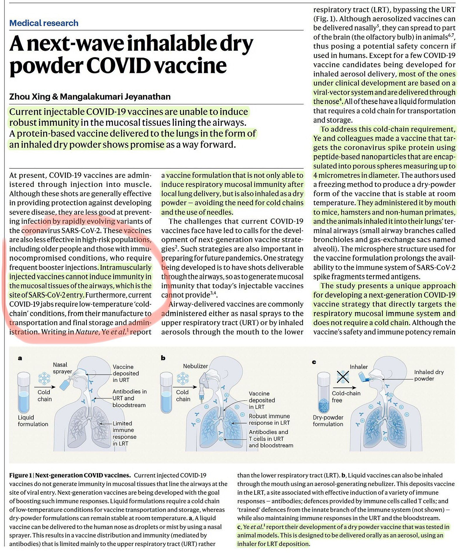 Nya "säkra och effektiva" nano-mikrokomposit-torrpulverinhalationsvacciner