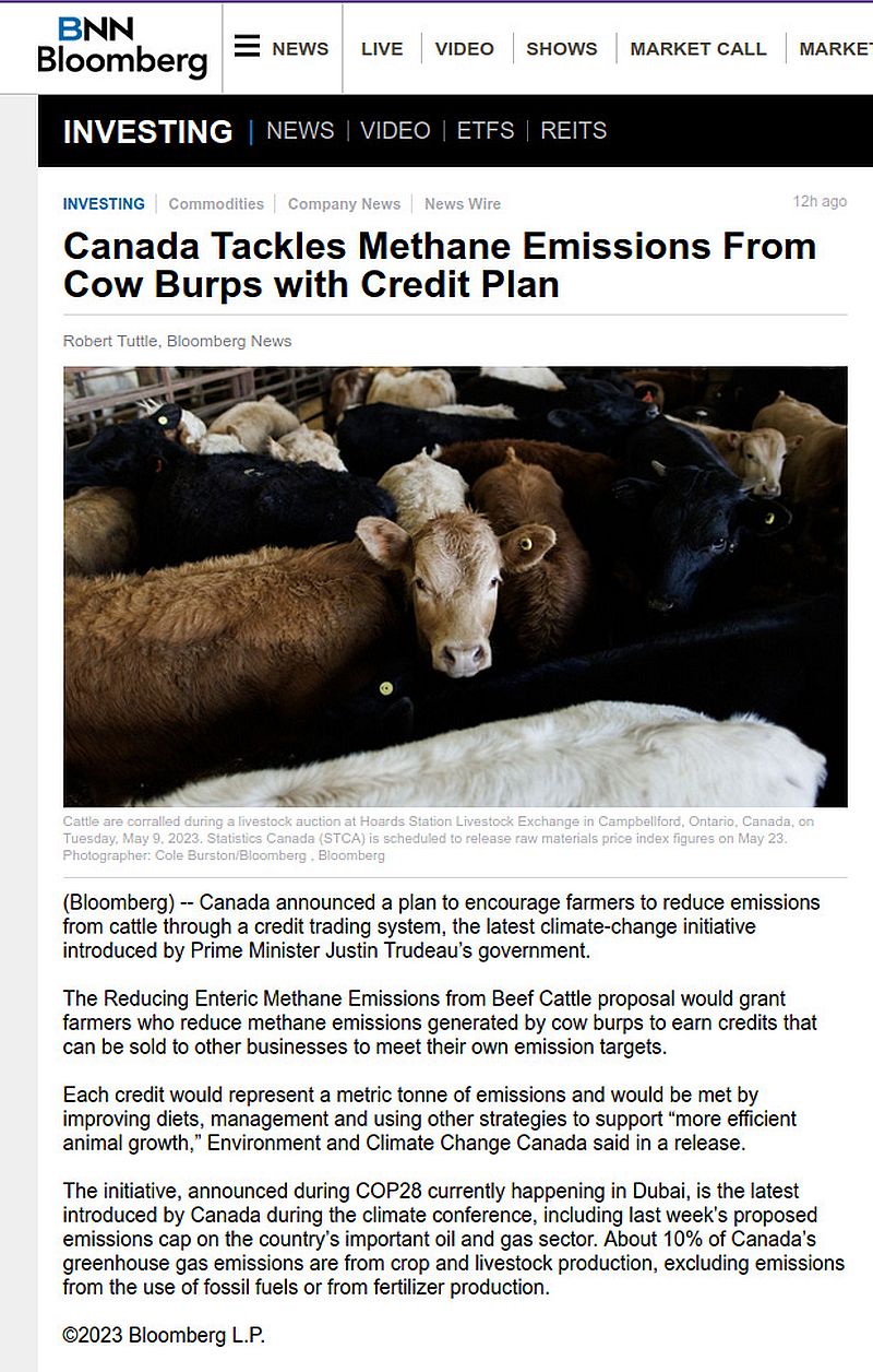 Bienvenidos a la locura: Canadá aborda las emisiones de metano procedentes del estiércol de vaca con un plan de crédito