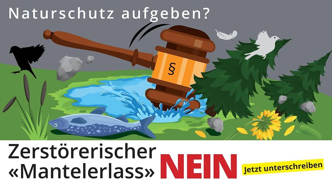 Was die Windräder antreibt, ist nicht der Wind, es sind die Subventionen