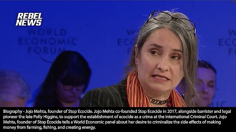 Ecocide | "Legally Speaking What My Organization & Other Collaborators Aim to Do Is to Have This Recognized Legally As a Very Serious Crime. What We See Is Businesses Trying to Make Money, to Farm, to Fish." - Jojo Mehta (Jan 16 2014 WEF)
