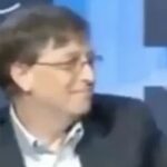 WEF 2008: Bill Gates und Klaus Schwab diskutieren über Malaria und die Reduzierung der Bevölkerungszahl