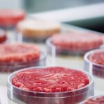 Med konstgjort kött äter du cancerceller
