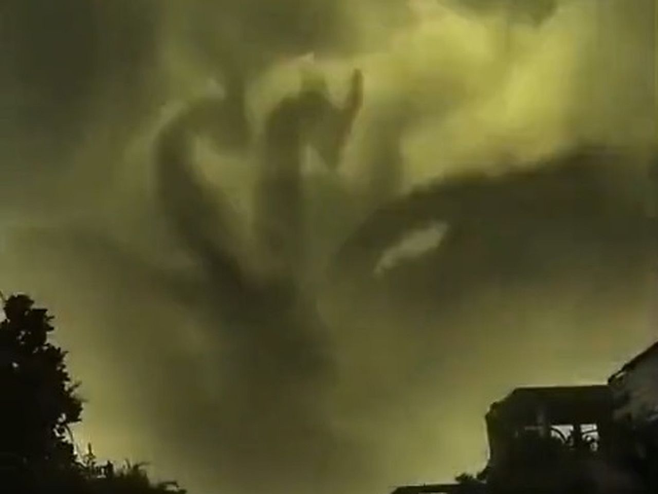 Was würden du tun, wenn du das siehst?