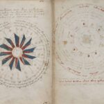 Het Voynich-manuscript
