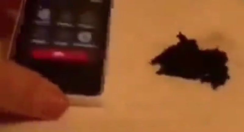 Как оксид графена реагирует на смартфоны