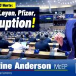 Deputados ao Parlamento Europeu são censurados no plenário
