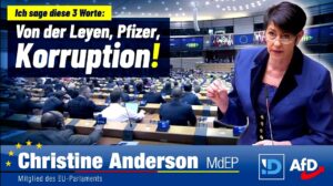 Members of the European Parliament are censored in plenary