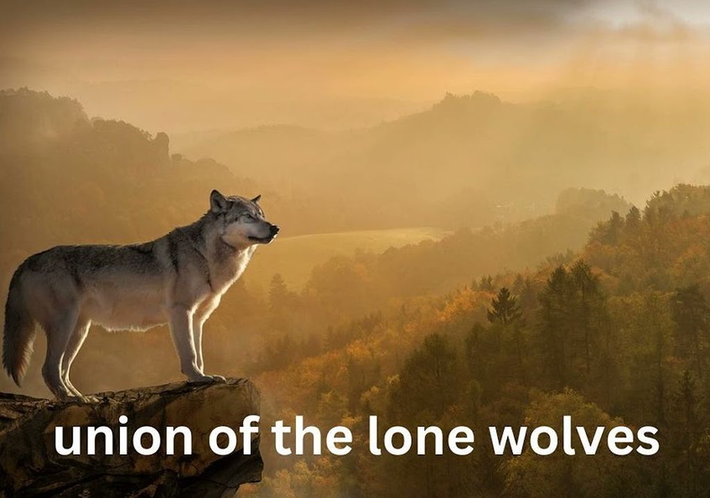 Episode 24 - Die Vereinigung der einsamen Wölfe