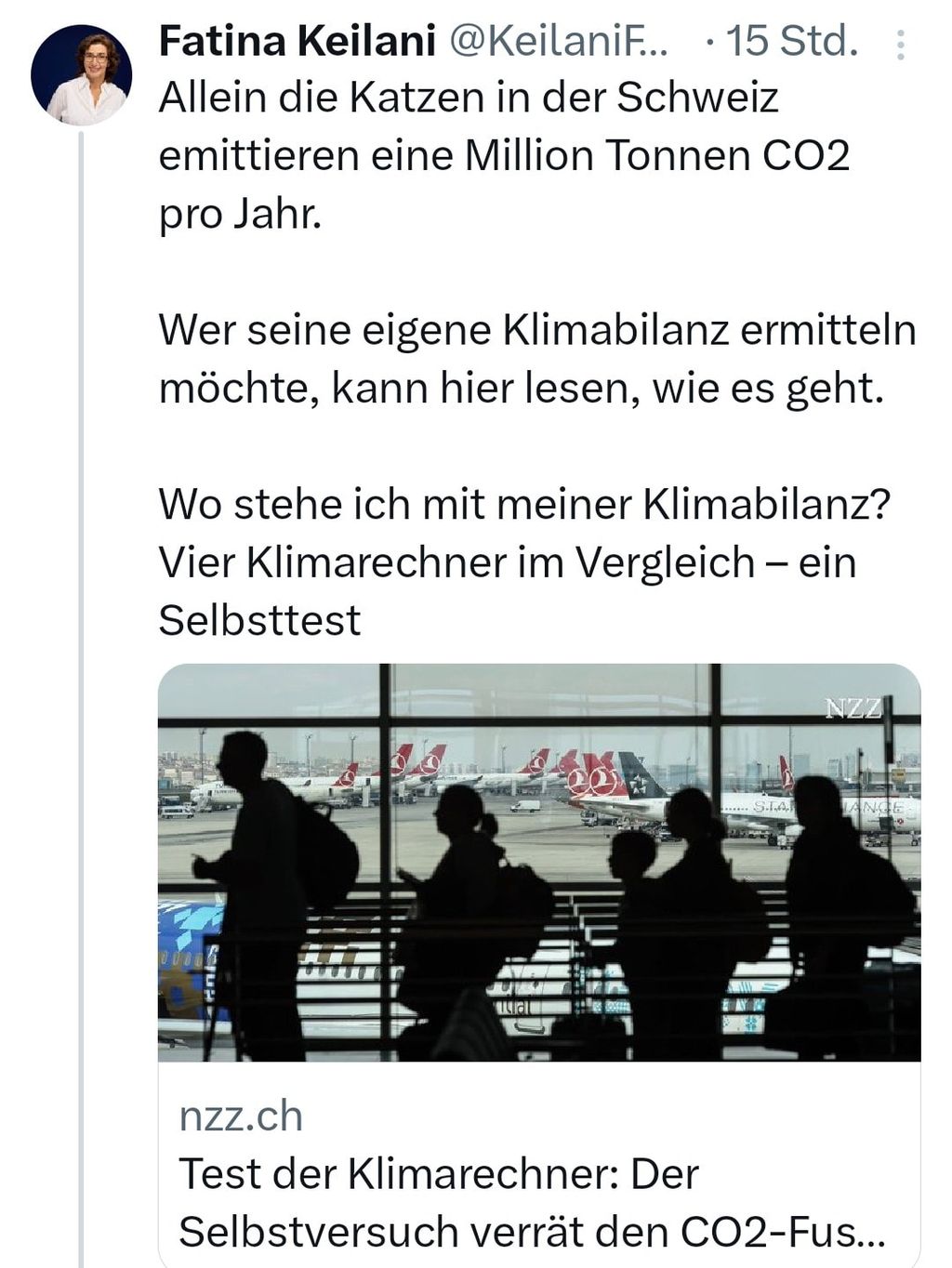 Katzen sind Klima-Killer