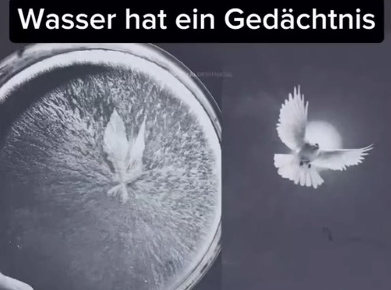 Wasser hat ein Gedächtnis