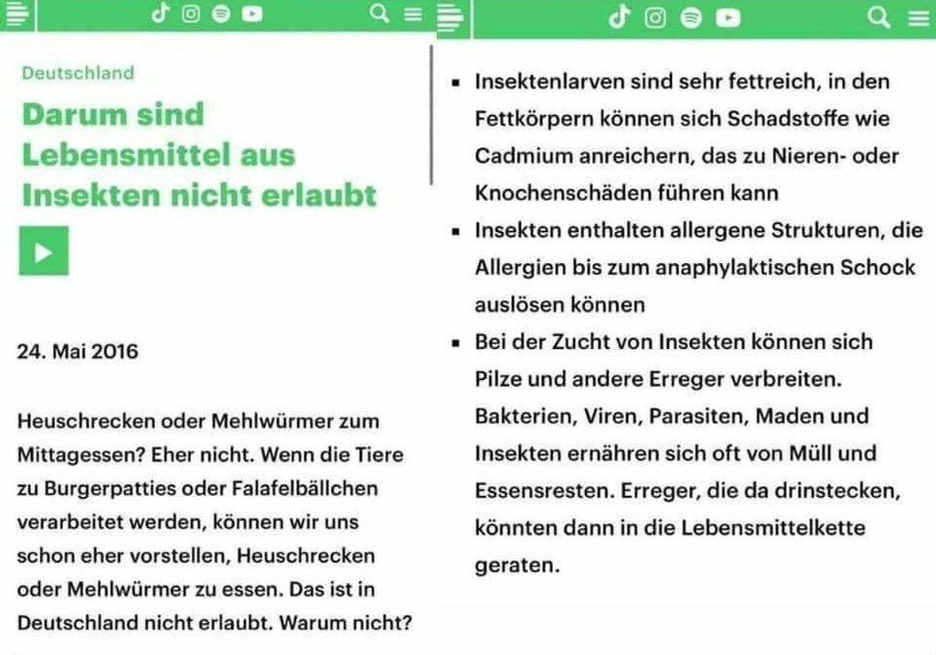 Wie Insektenverzehr tatsächlich einzuschätzen ist