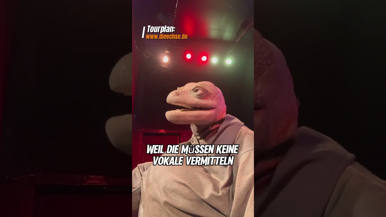 Geld verdient man mit viel Schweiz. 👨‍🏫🇨🇭 #comedy #dieechse #impro