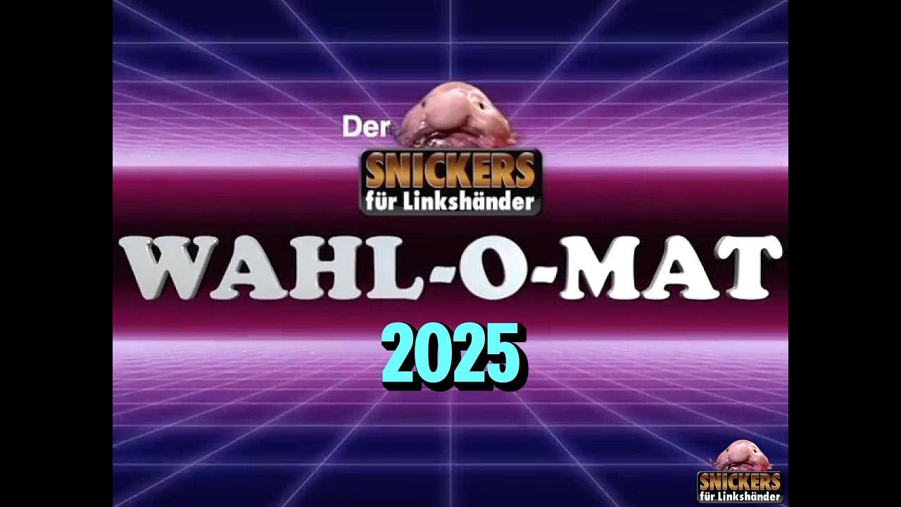 Snicklink Wahl-o-mat 2025 - Kollektive Kernschmelze 🔥