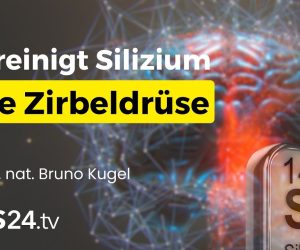 Warum du ohne Silizium nie dein volles Potenzial entfalten kannst