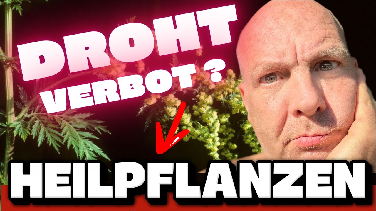 Willkommen in der EU-Apotheke: Heilpflanzen verboten &#8211; Chemie erlaubt