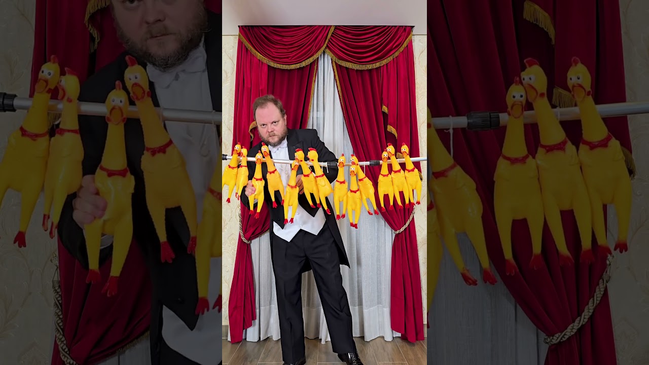 Bohemian Rhapsody on Chickens