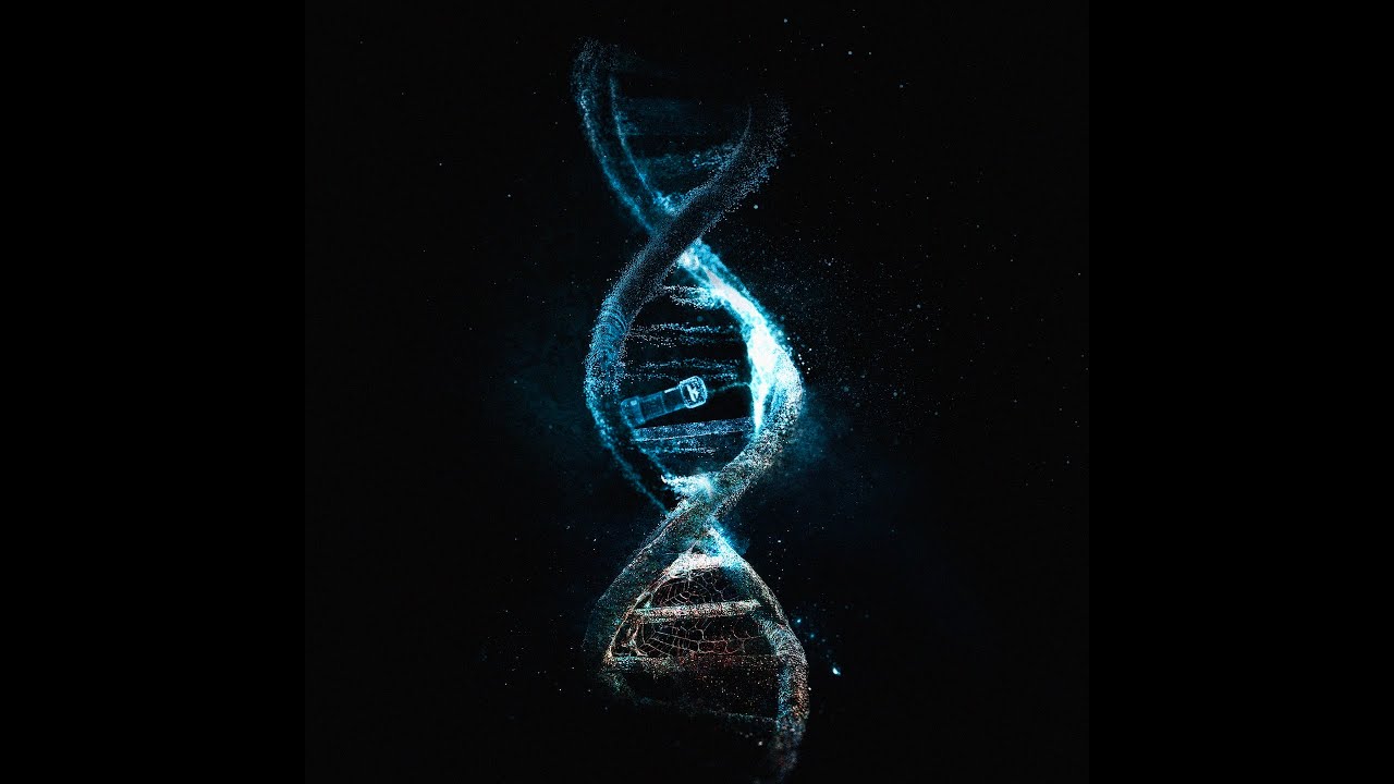 DBD: Guinea Pigs (Reborn) &#8211; Klogr