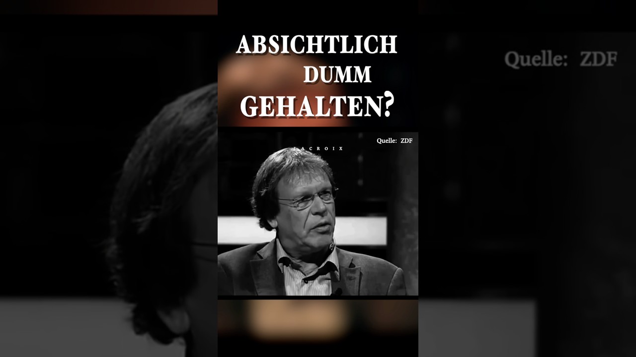 Wie ein Teil der Gesellschaft abgehängt und mit Trash-TV und billigen Jobs ruhiggestellt wird