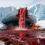 Bloodfall: Ein surreales Naturphänomen