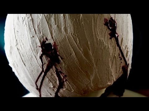 Cruel is the wheel (Lyric video)