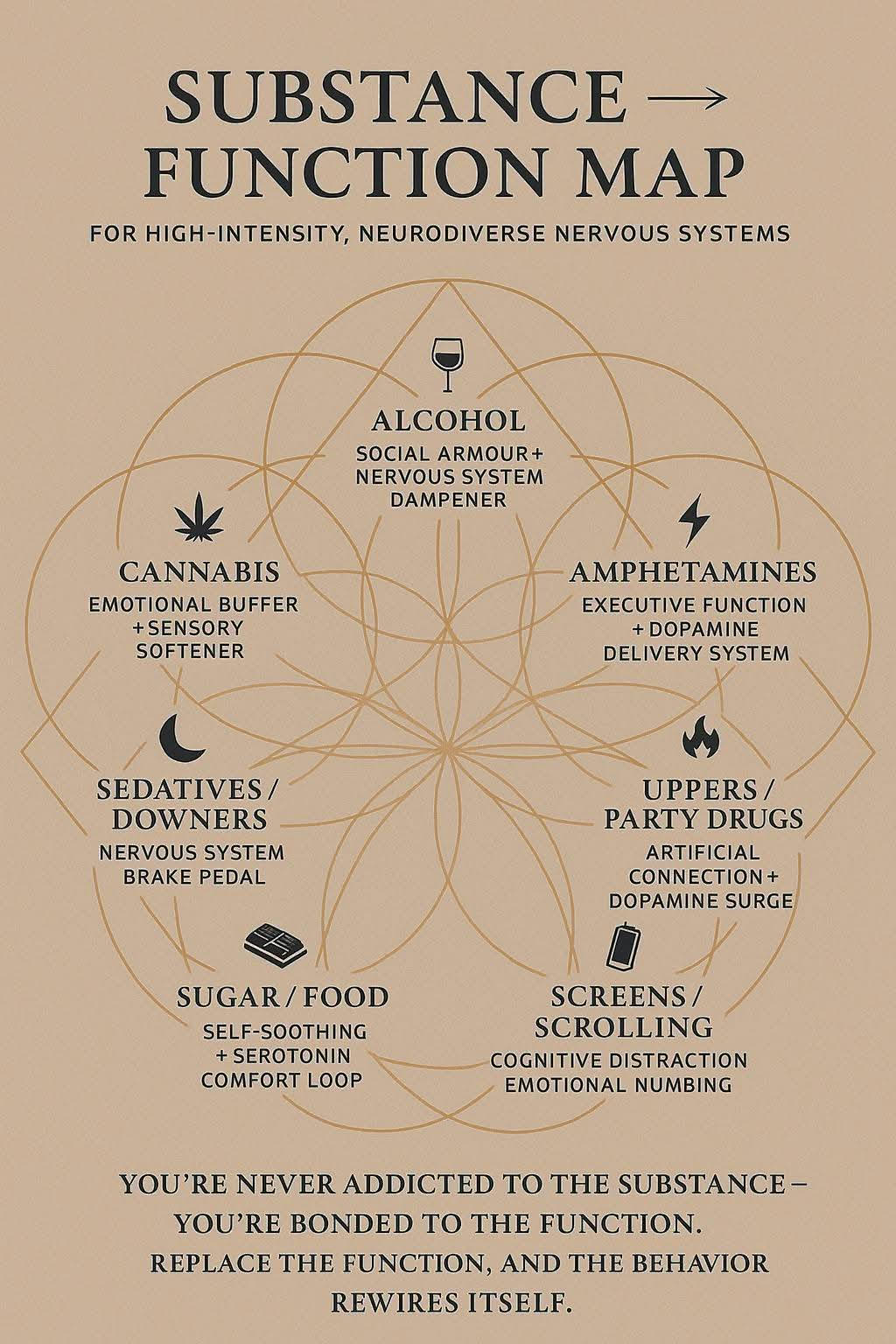 Vom Überleben zur Weisheit