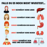 Emotionen als Sprache des Körpers