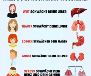 Emotionen als Sprache des Körpers