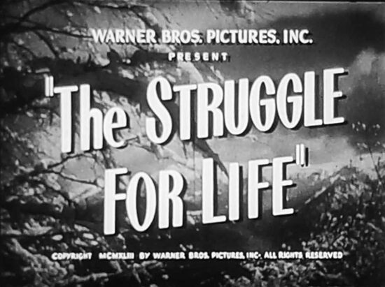 Warum uns der Kult der Anstrengung systematisch in die Irre führt