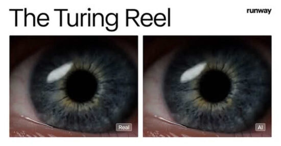 Zwei Videos, keine Wahrheit: Der große Bluff der Medienkompetenz