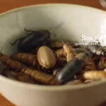 Critter Crunch
