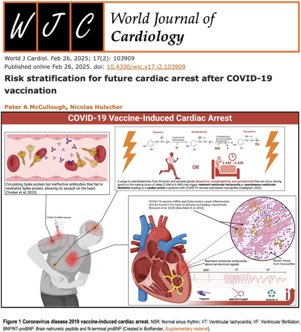 Mikronarben, Herzstillstand, Schweigen - Hauptsache geimpft