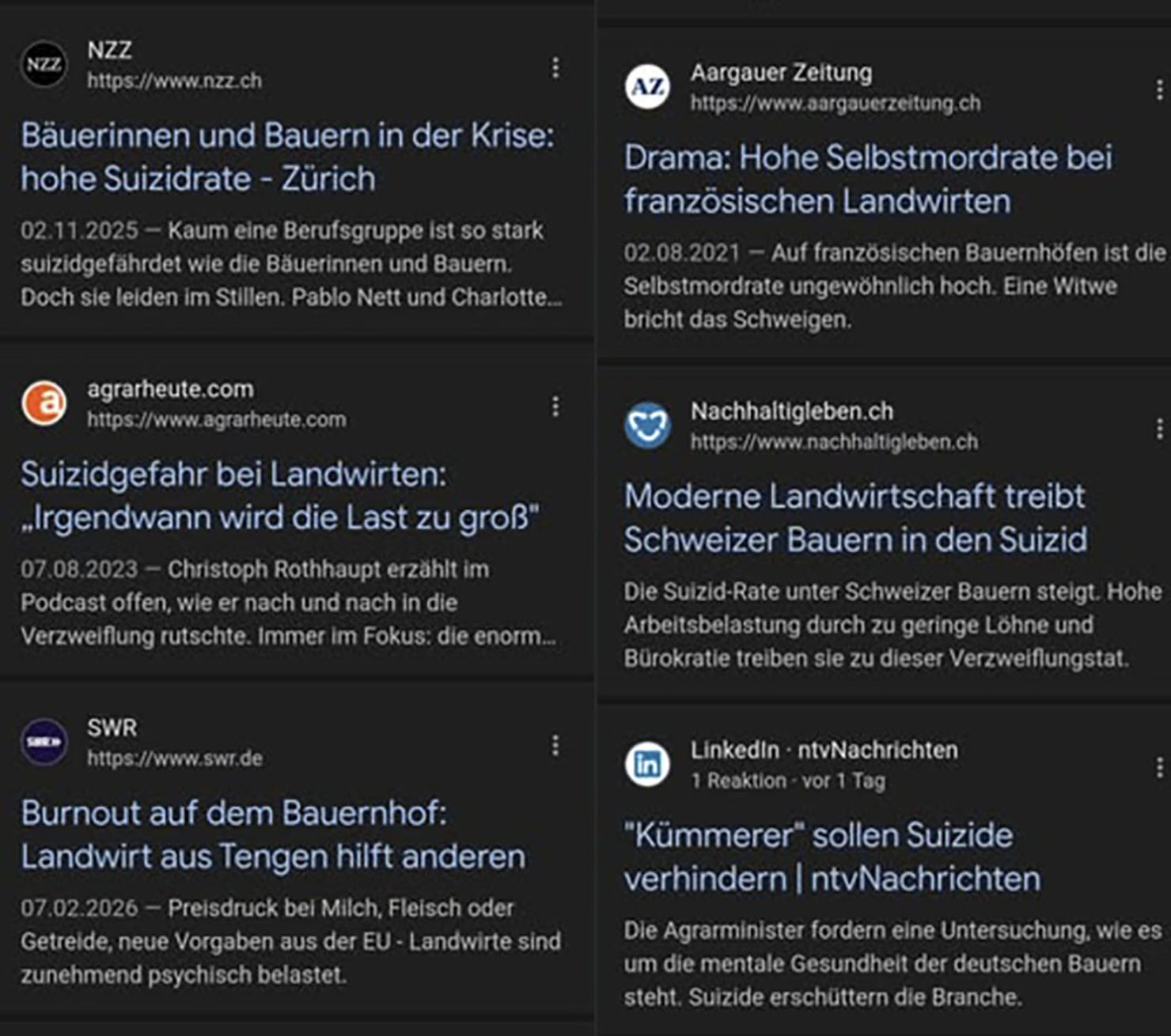 Das stille Sterben auf dem Feld: Wer rettet die Bauern, wenn nicht wir?