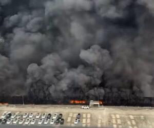 Grüne Apokalypse: BYD brennt - und die Klimakirche schweigt