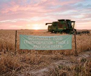 Pünktlich zur Agenda 2030: Hungersnot nach Plan - Schlechteste Weizenernte seit 1972