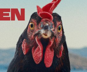 Hen: Das Huhn, das mehr kapiert als die Menschen um es herum