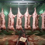 Tierschutz-Apokalypse: Strengstes Gesetz, weichster Vollzug, dümmster EU-Mythos