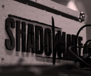 dbd when we fall shadowmare