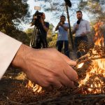Das Waldbrand-Märchen der Medien: 96 % gezündet Menschenhand