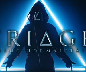 dbd neue normalitaet triage