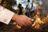 Das Waldbrand-Märchen der Medien: 96 % von Menschenhand angezündet