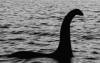 Rätsel um Nessie gelöst!