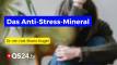 Das Anti-Stress-Mineral: Silizium als Schutzschild gegen freie Radikale