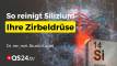 Warum du ohne Silizium nie dein volles Potenzial entfalten kannst