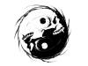 Das dritte Auge des Tao: Was das Yin-Yang-Symbol wirklich verbirgt
